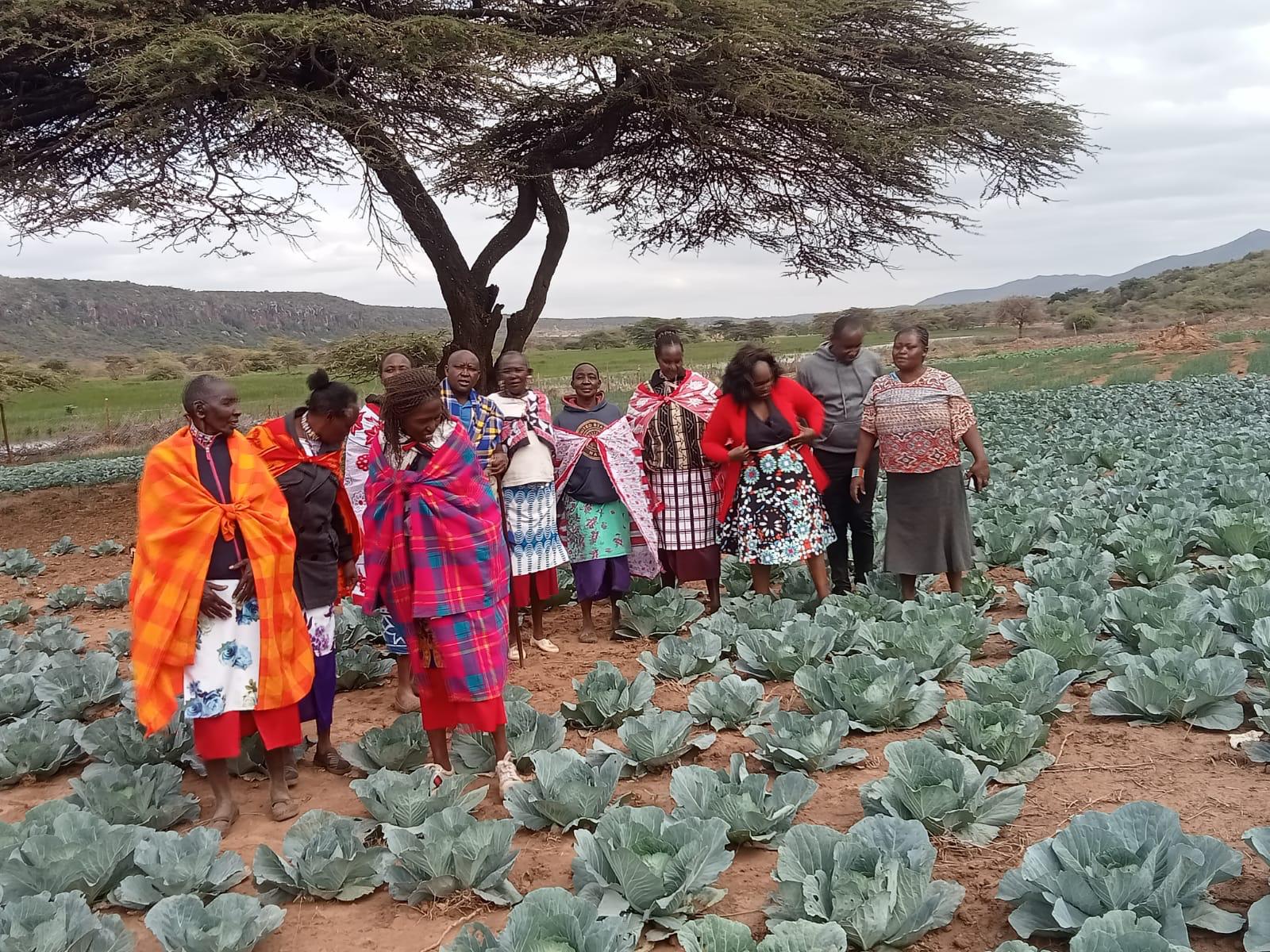 Sustainable Planting